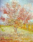 Vincent Van Gogh Peach Tree in Bloom oil on canvas